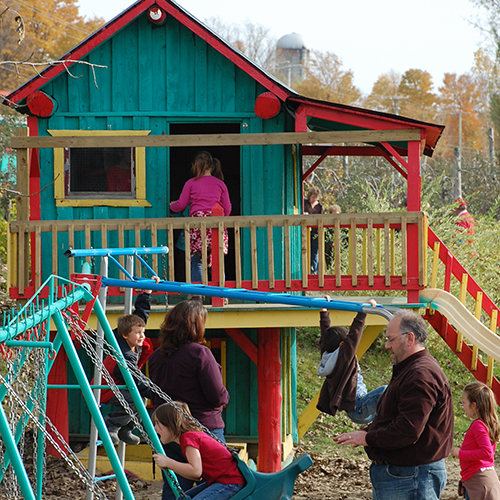 Apple Orchard Activities