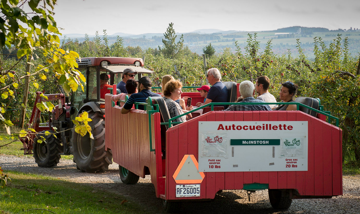 Apple Picking Eastern Townships