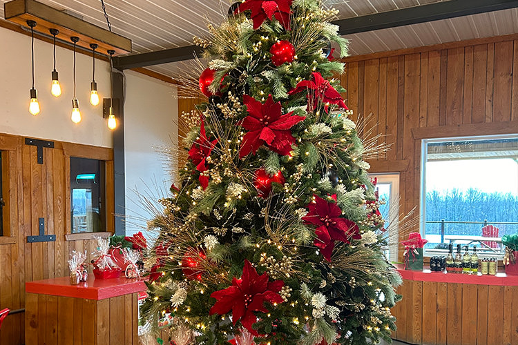 Noël au Verger Le Gros Pierre