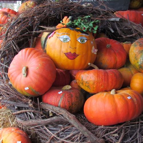 Citrouilles Verger Gros Pierre