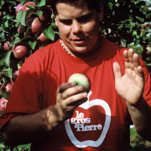 Comment cueillir une pomme