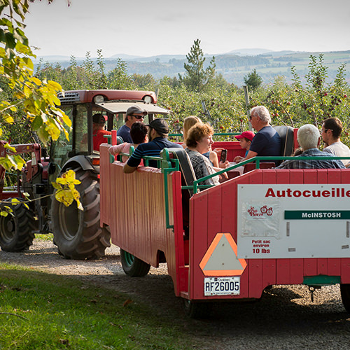 Promenade en tracteur au Verger Gros Pierre
