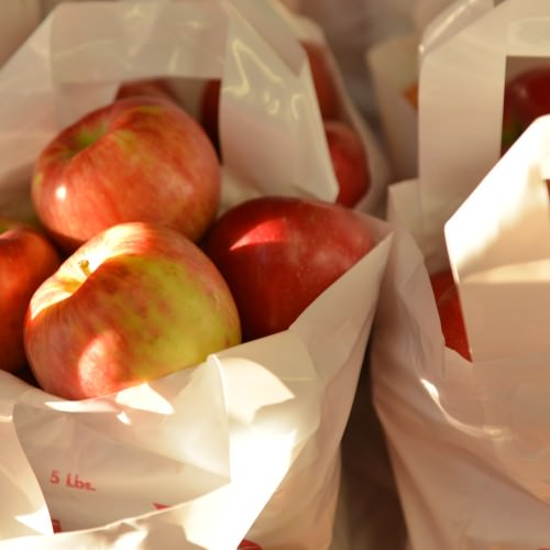 Sac de 5 livres de pommes cueillies
