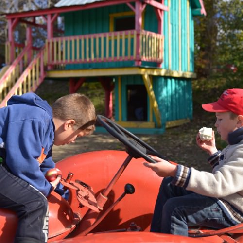 Le tracteur et les petits au verger Gros Pierre
