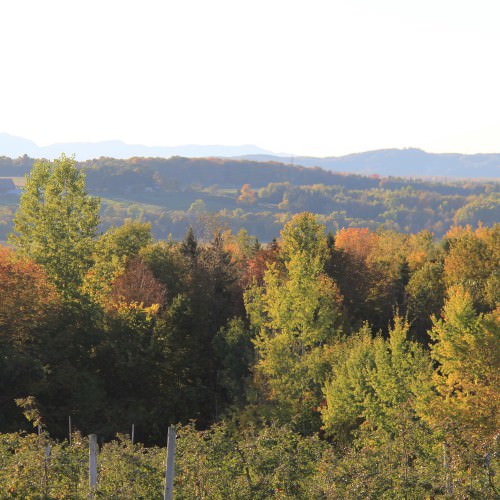 Vue de la Vallée de la Coaticook en Estrie
