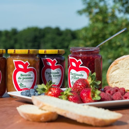 Tartinades de fruits et de pommes
