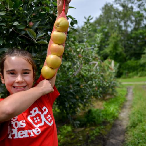 5 pommes pour la collation
