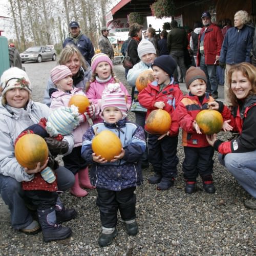 Groupes CPE et maternelle pour la cueillette de pomme