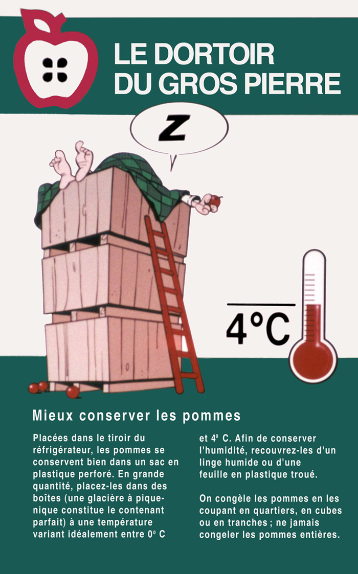 Placées dans un tiroir au réfrigérateur, les pommes se conservent bien dans un sac en plastique perforé.